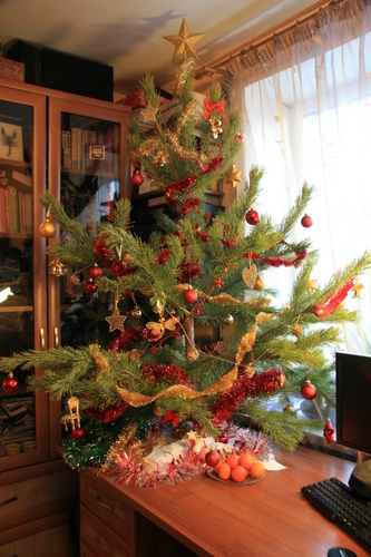 http://hlopoty.ru/pages/9531/131138.jpg